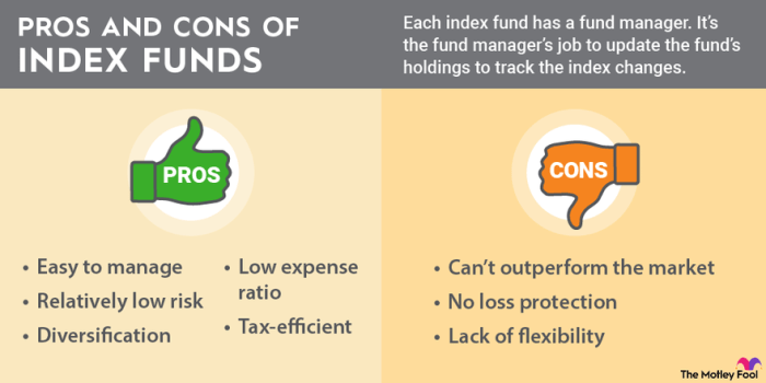 Funds investing invest stocks