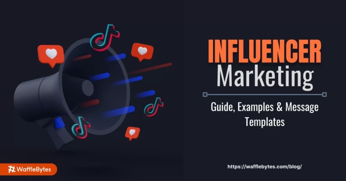 Influencer Marketing Guide