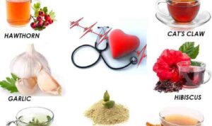 Herbs for reducing blood pressure